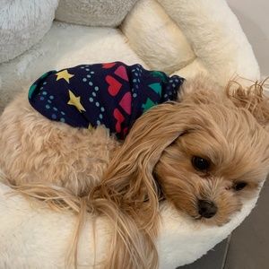 Meet your Posher, Rahnie